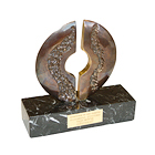 Microsoft Award