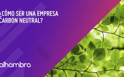 ¿Cómo ser una empresa carbon neutral?