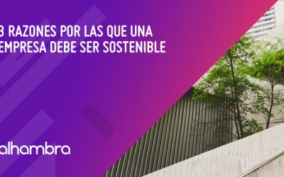 Importancia de la sostenibilidad en las empresas