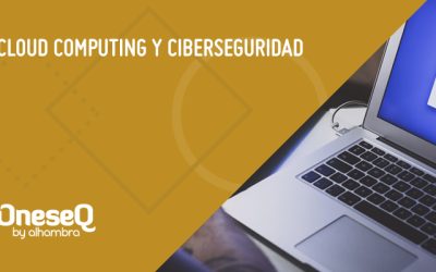 ¿La seguridad es fruto de la desconfianza en el Cloud Computing?