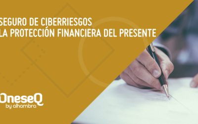 Seguro de ciberriesgos: Protección financiera para compañías