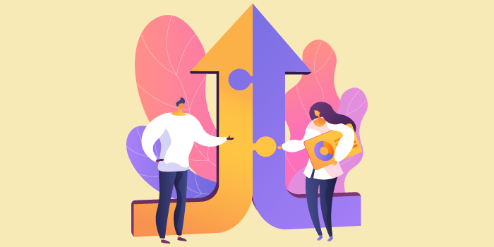 elegir_partner partner it