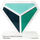 Premio Cohesity 2025